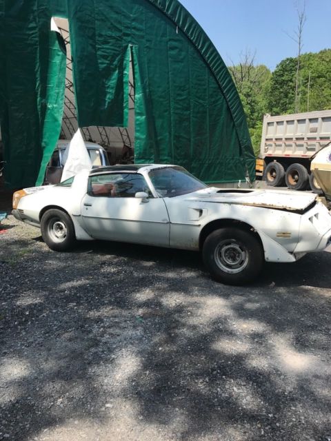 1979 Pontiac Trans Am - photo 2