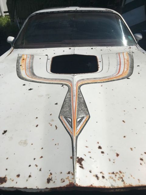 1979 Pontiac Trans Am - photo 3