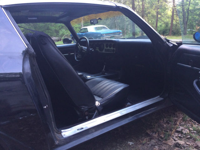 1979 Pontiac Trans Am - photo 11
