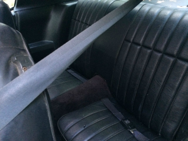 1979 Pontiac Trans Am - photo 5