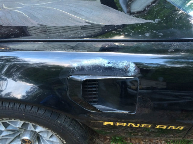 1979 Pontiac Trans Am - photo 6