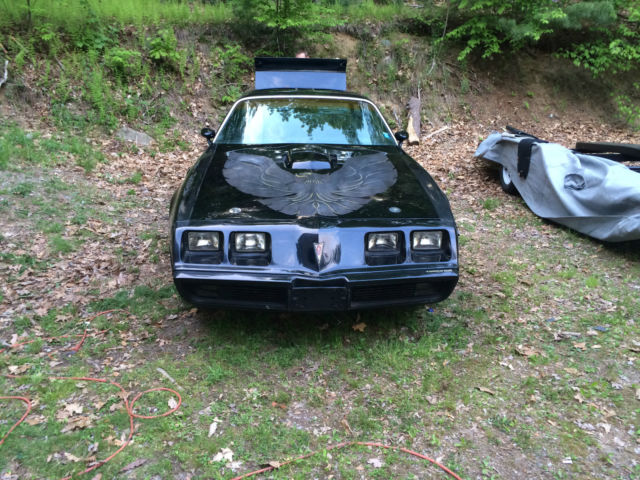 1979 Pontiac Trans Am - photo 7