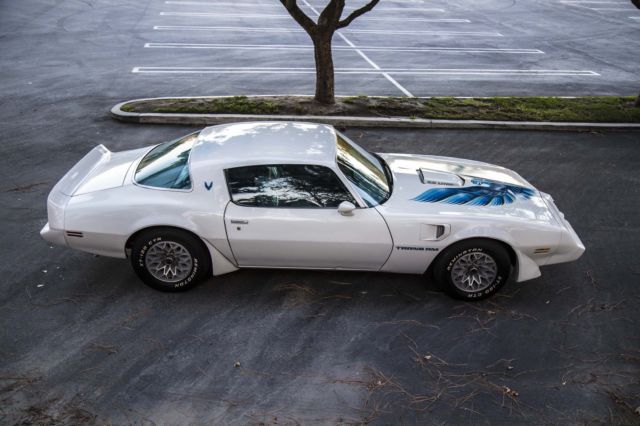 1979 Pontiac Trans Am Firebird, big block, survivor,original,runs xlnt,looks VG 1979 Pontiac Trans Am