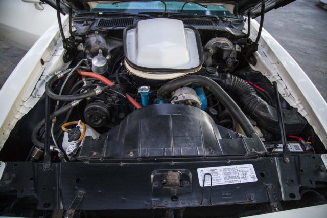 1979 Pontiac Trans Am - photo 10