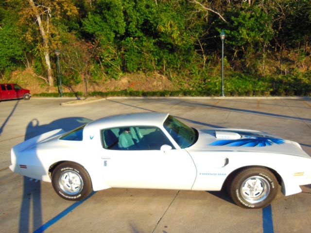 1979 Pontiac Trans Am Blue - photo 11