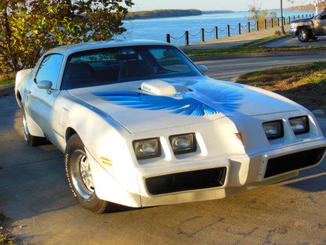 1979 Pontiac Trans Am Blue - photo 2