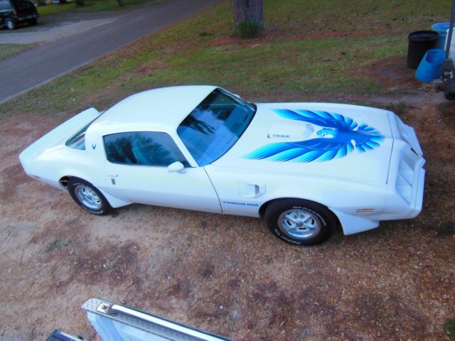1979 Pontiac Trans Am Blue - photo 3