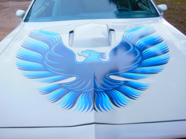 1979 Pontiac Trans Am Blue - photo 4