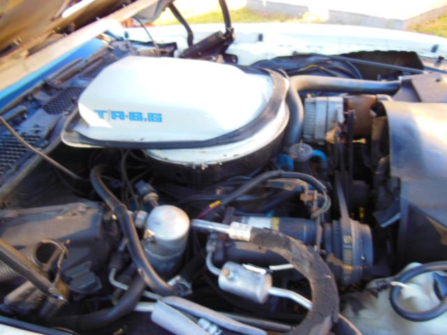 1979 Pontiac Trans Am Blue - photo 6