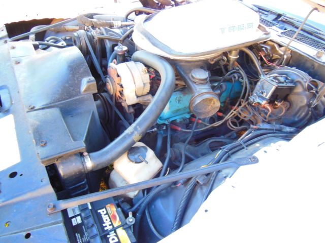 1979 Pontiac Trans Am Blue - photo 8