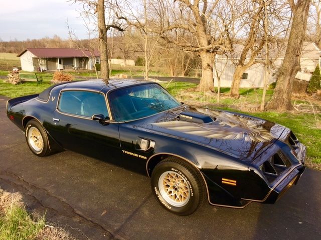 1979 PONTIAC TRANS AM FIREBIRD #'S MATCHING SURVIVOR. AUTO SHOW WINNER!! 1979 Pontiac Trans Am TRANS AM FIREBIRD
