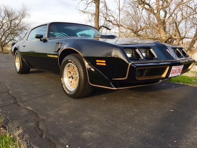 1979 Pontiac Trans Am TRANS AM FIREBIRD - photo 2