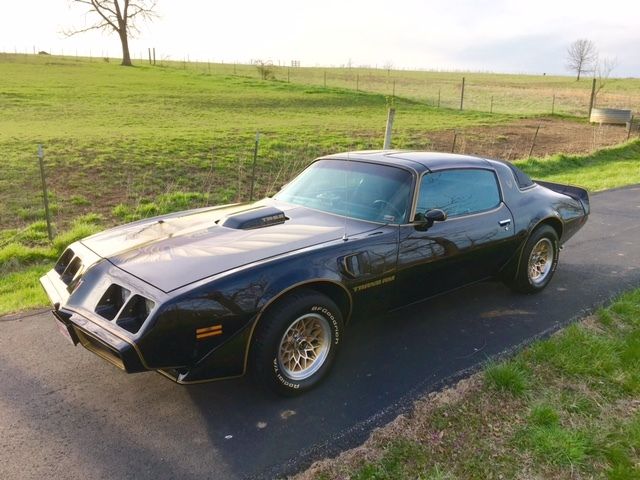 1979 Pontiac Trans Am TRANS AM FIREBIRD - photo 3