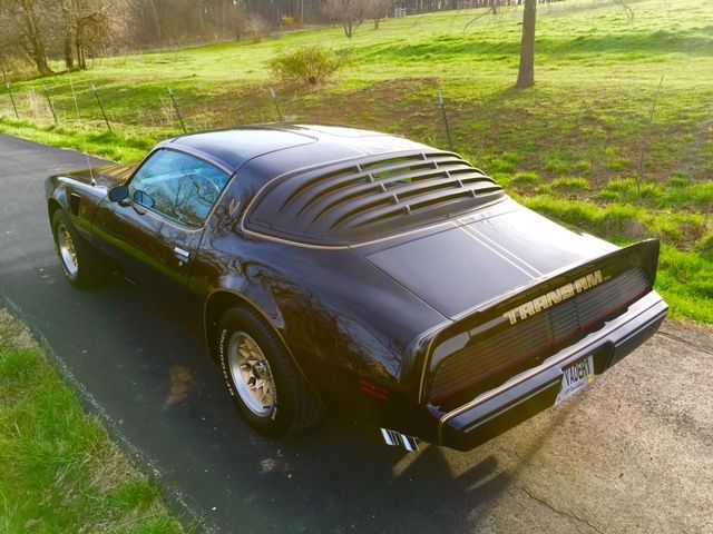 1979 Pontiac Trans Am TRANS AM FIREBIRD - photo 4