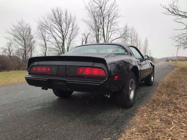 1979 Pontiac Trans Am Firebird - photo 7