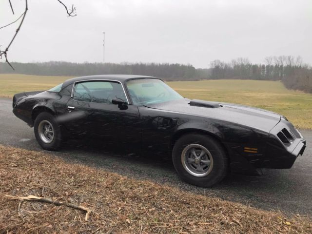 1979 Pontiac Trans Am Firebird - photo 9