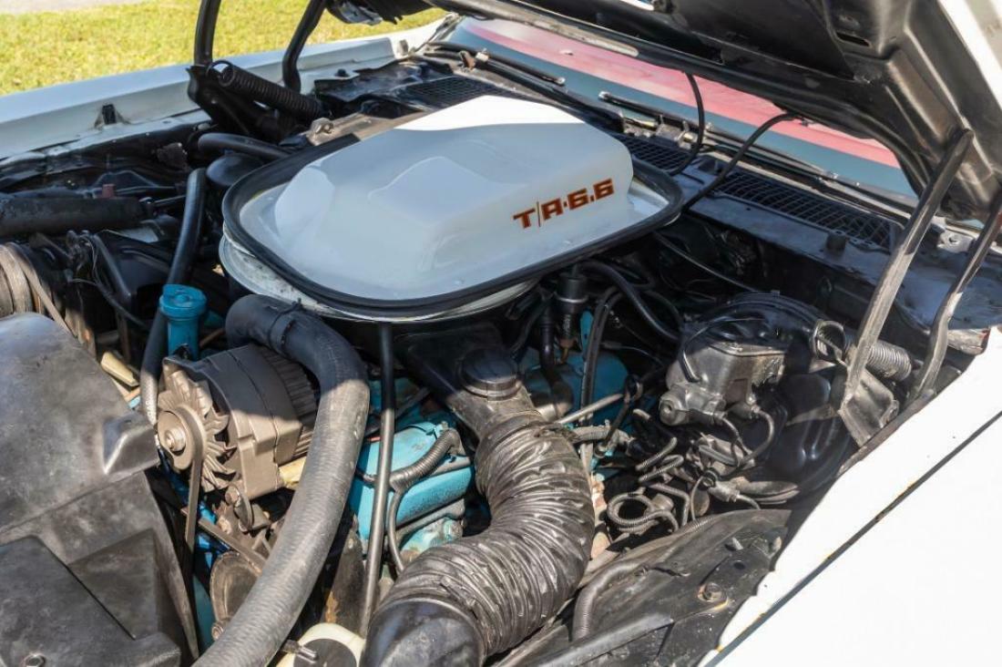 1979 Pontiac Trans Am Firebird - photo 9