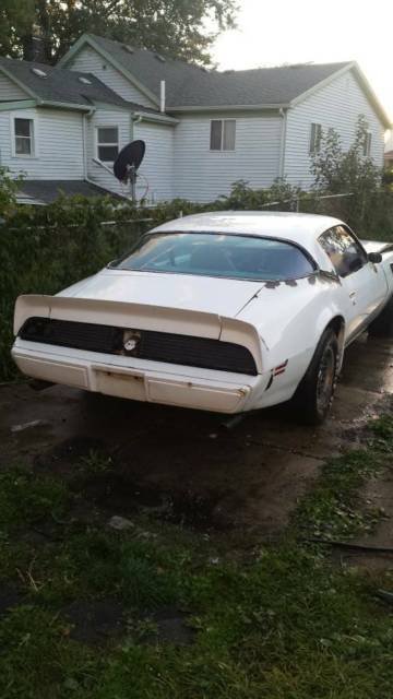 1979 Pontiac Trans Am Trans Am - photo 2