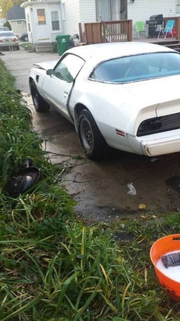1979 Pontiac Trans Am Trans Am - photo 5