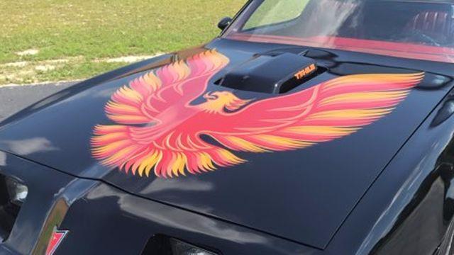 1979 Pontiac Trans Am -- - photo 10