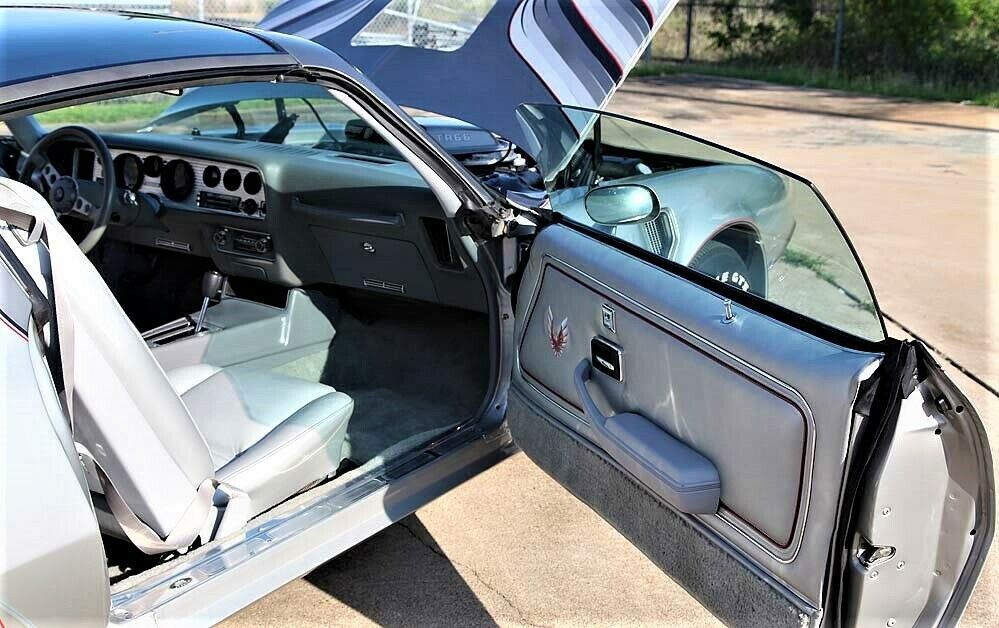 1979 Pontiac Trans Am Ltd-Edition - photo 13