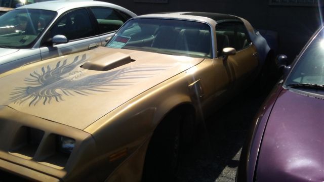 1979 Pontiac Trans Am - photo 3