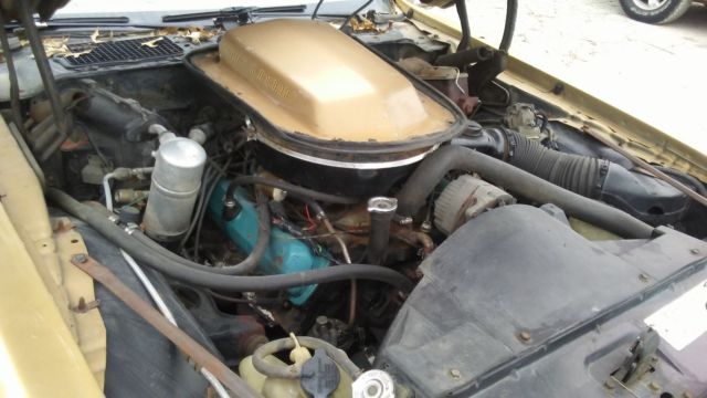 1979 Pontiac Trans Am - photo 4