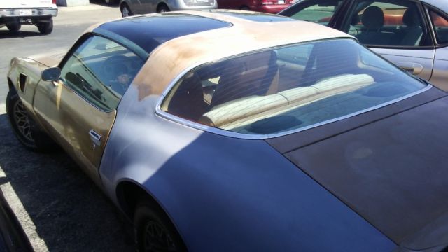 1979 Pontiac Trans Am - photo 6