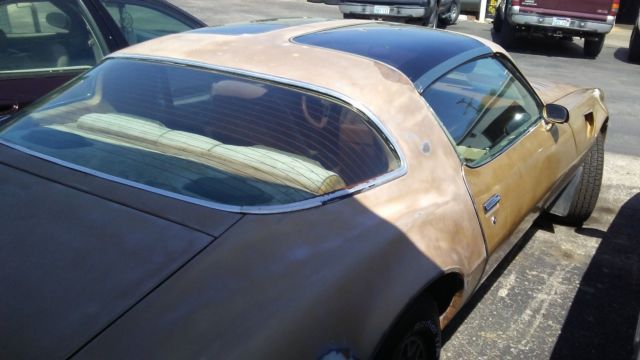 1979 Pontiac Trans Am - photo 7