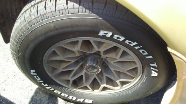 1979 Pontiac Trans Am - photo 8