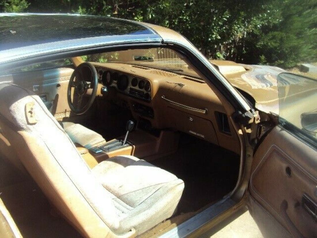 1979 Pontiac Trans Am - photo 11