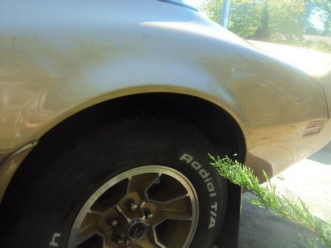 1979 Pontiac Trans Am - photo 9