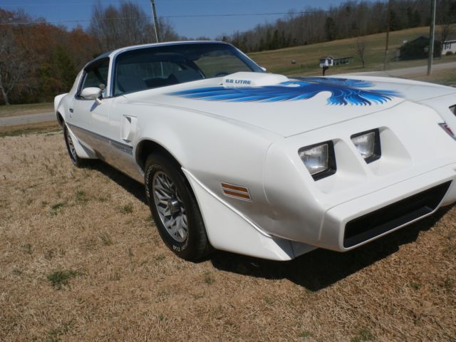 1979 Pontiac Trans Am - photo 4