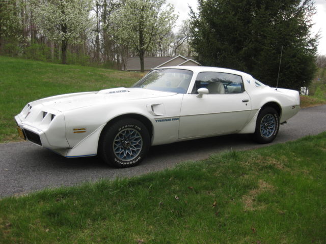 1979 Pontiac Trans Am American Steel