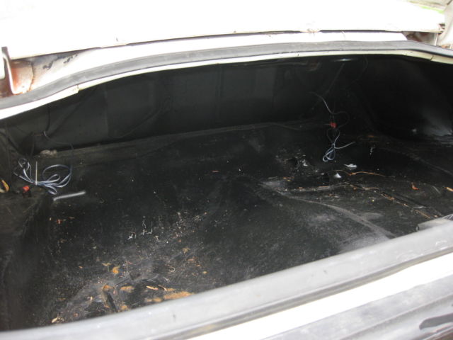 1979 Pontiac Trans Am American Steel - photo 13