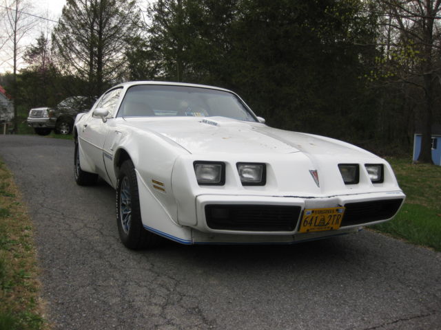 1979 Pontiac Trans Am American Steel - photo 5