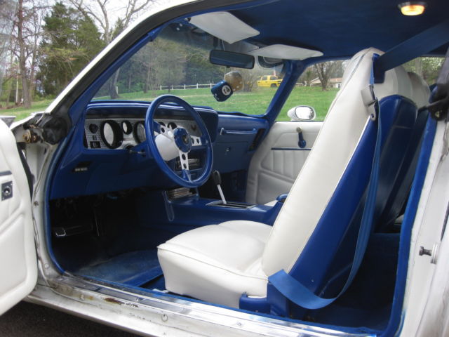1979 Pontiac Trans Am American Steel - photo 6
