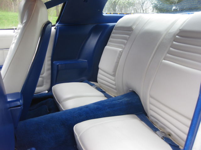 1979 Pontiac Trans Am American Steel - photo 7