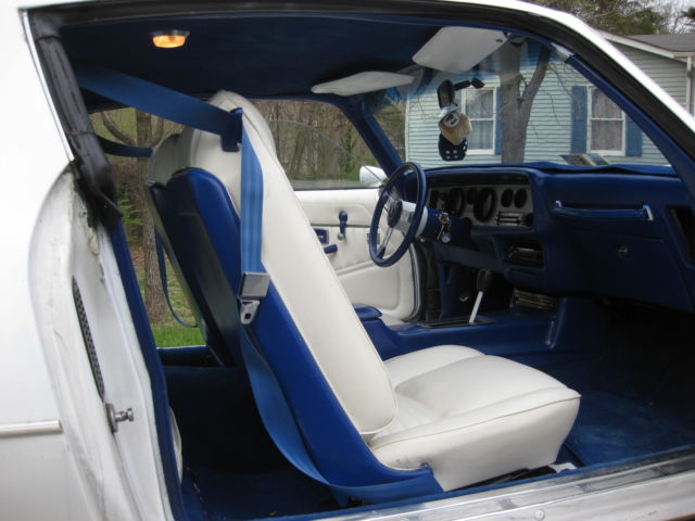 1979 Pontiac Trans Am American Steel - photo 8