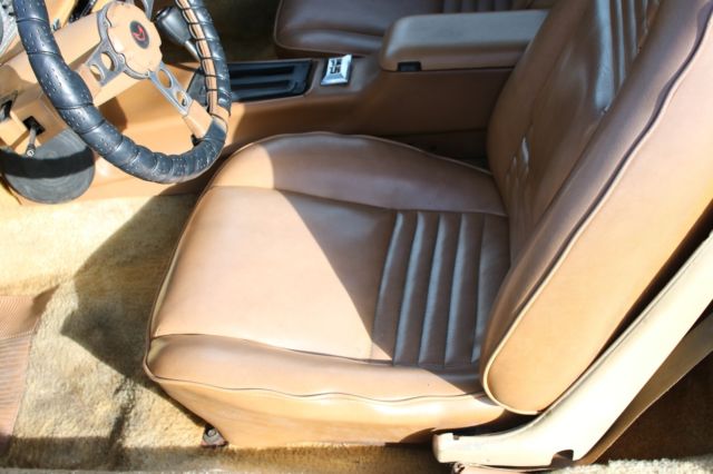 1979 Pontiac Trans Am - photo 11