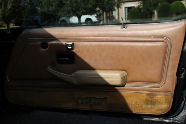 1979 Pontiac Trans Am - photo 13