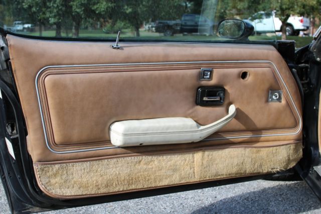 1979 Pontiac Trans Am - photo 9