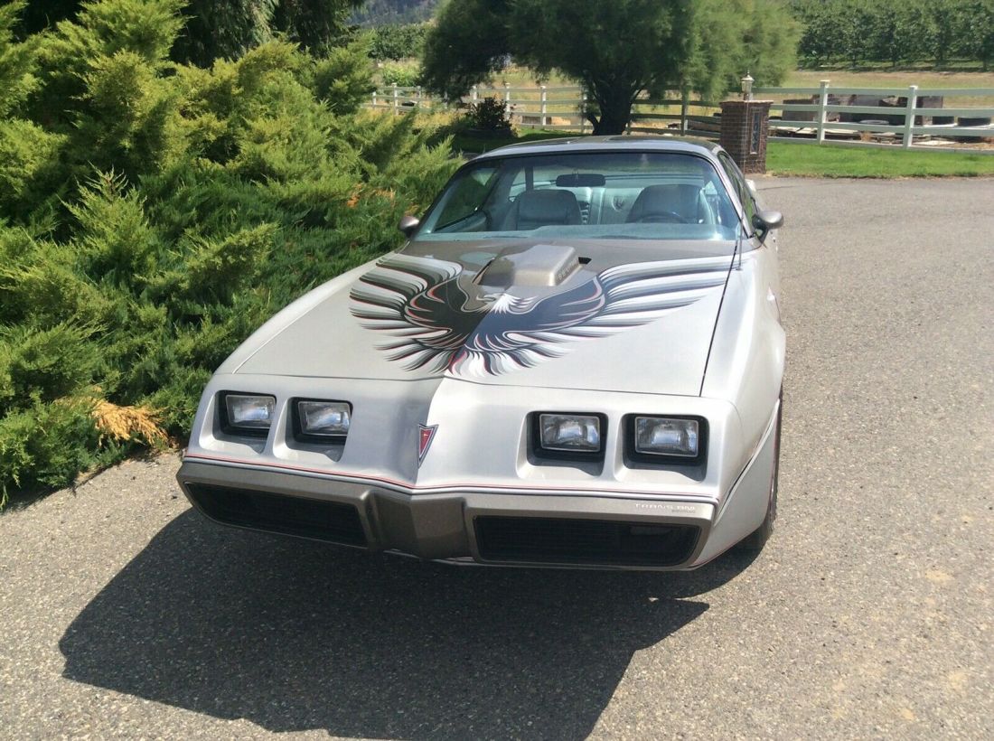 1979 Pontiac Trans Am - photo 2