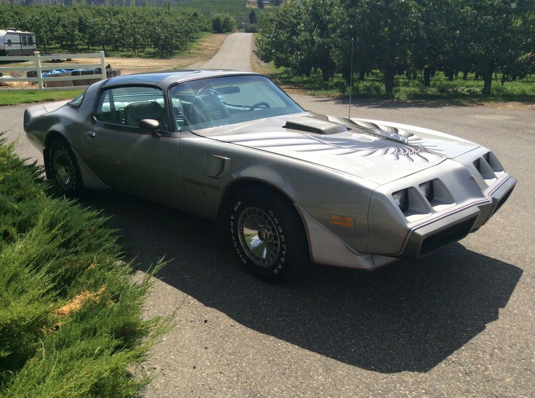 1979 Pontiac Trans Am - photo 3