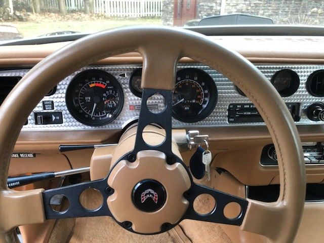 1979 Pontiac Trans Am Trans AM - photo 10