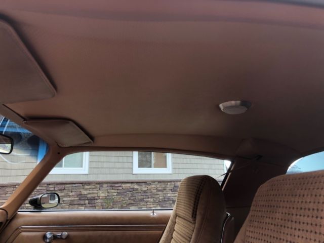 1979 Pontiac Trans Am Trans AM - photo 12
