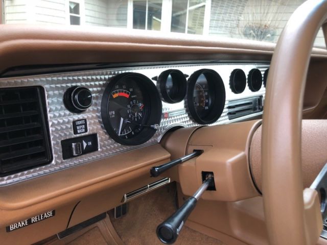 1979 Pontiac Trans Am Trans AM - photo 13