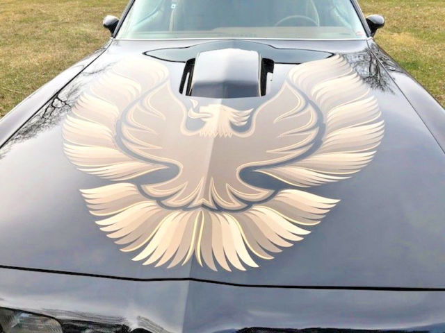 1979 Pontiac Trans Am Trans AM - photo 6