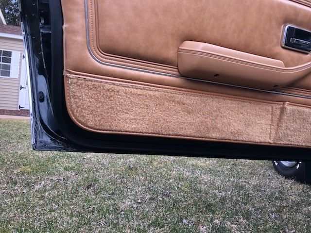 1979 Pontiac Trans Am Trans AM - photo 9