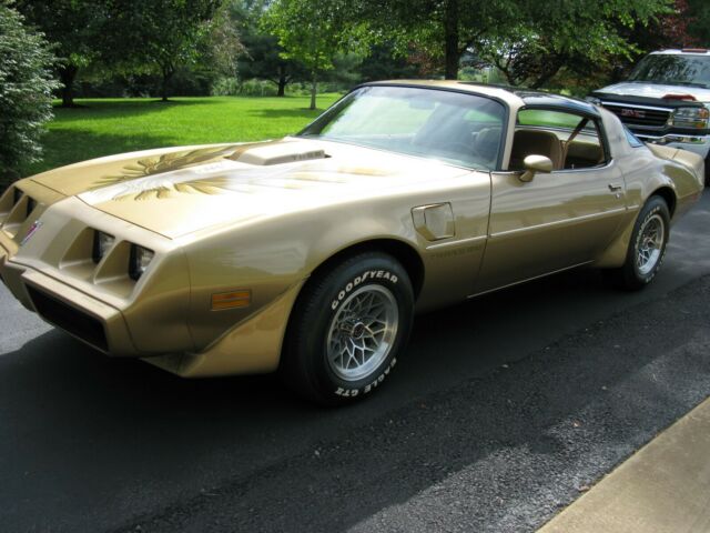 1979 Pontiac Trans Am - photo 6
